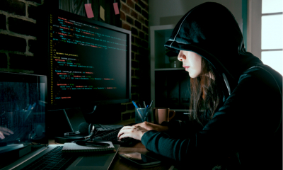 A hacker targets a small business website