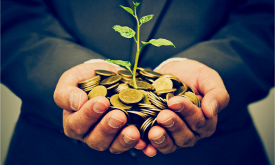 Hands of a businessman holding a tree growing on golden coins