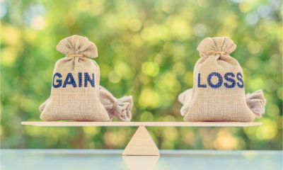 Company capital gains and capital losses